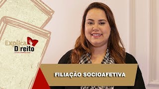 Explica Direito Filiação Socioafetiva  2019 [upl. by Hoffmann230]